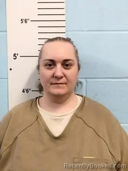 Mugshot of AMBERLY KAYLA BRITTON booked in Lincoln County, Missouri on April 25, 2026