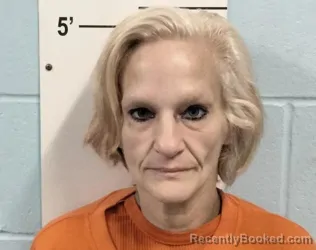 Mugshot of ALISA KAY BRAY booked in Lincoln County, Missouri on June 15, 2026