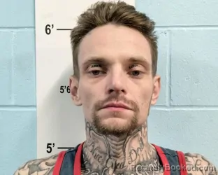 Mugshot of ANDREW LEE BRITTINGHAM