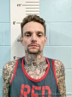 Mugshot of ANDREW LEE BRITTINGHAM