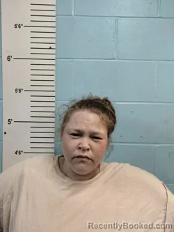 Mugshot of ASHLEY NICOLE ELLIS booked in Lincoln County, Missouri on April 23, 2026