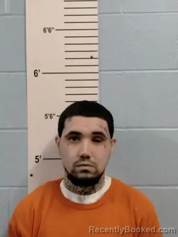 Mugshot of Aaron Scott Hoeber booked in Lincoln County, Missouri on October 20, 2026