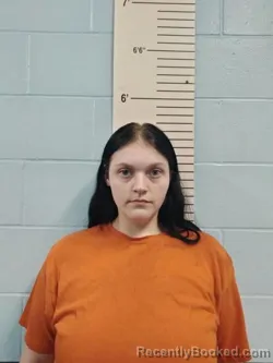 Mugshot of Ashleigh Corrine Palmer booked in Lincoln County, Missouri on August 20, 2026