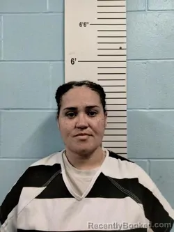 Mugshot of Andrea Michelle Truesdell Cobbs booked in Lincoln County, Missouri on August 12, 2026