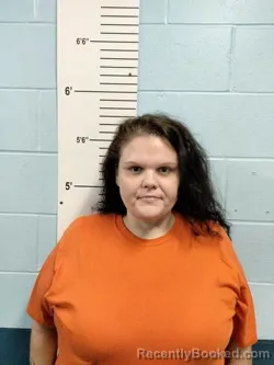 Mugshot of Brittany N Jackson booked in Lincoln County, Missouri on August 5, 2026