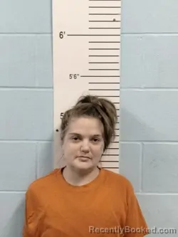 Mugshot of BRITTNEE PAIGE TRAYLOR booked in Lincoln County, Missouri on June 25, 2026