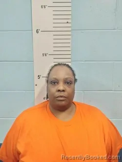Mugshot of Christel Carvett Douglas booked in Lincoln County, Missouri on August 4, 2026