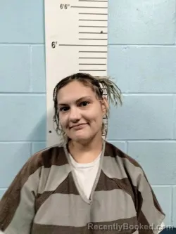 Mugshot of Clarrissa Michelle Gentry booked in Lincoln County, Missouri on August 12, 2026
