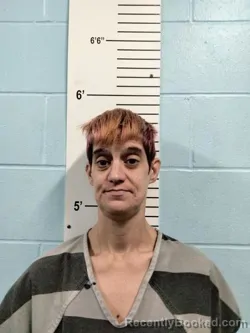 Mugshot of Crystal Dawn Markovich booked in Lincoln County, Missouri on August 12, 2026