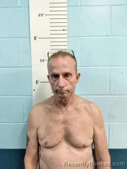 Mugshot of CHARLES DOUGLAS WISE booked in Lincoln County, Missouri on April 3, 2026