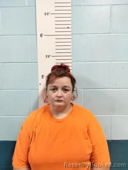 Mugshot of DANIELLE NICOLE HOLMAN booked in Lincoln County, Missouri on July 13, 2026
