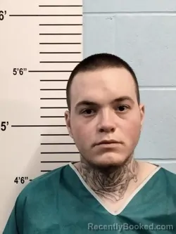 Mugshot of DILLON MICHAEL HOLLIS