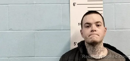 Mugshot of DILLON MICHAEL HOLLIS