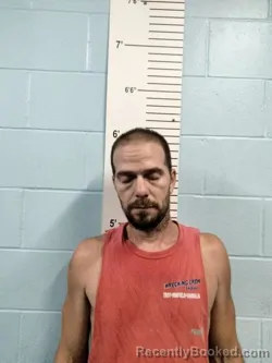 Mugshot of DALE ROBERT HAWKINS booked in Lincoln County, Missouri on July 3, 2026