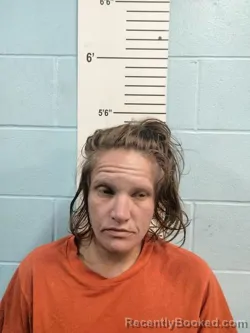 Mugshot of DARA ANN LANDER booked in Lincoln County, Missouri on April 23, 2026