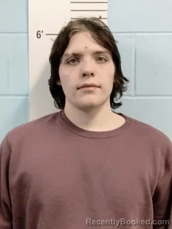 Mugshot of DAMIEN UNK PRESLEY