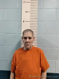 Mugshot of DAWN MARIE USANGA booked in Lincoln County, Missouri on April 1, 2026