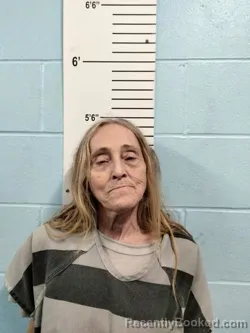 Mugshot of Diana Lynn Welch booked in Lincoln County, Missouri on August 12, 2026