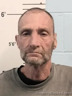 Mugshot of DENNIS NA WILLIAMSON