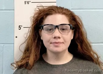 Mugshot of ELIZABETH ANN CUNNINGHAM