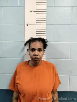 Mugshot of ERIKA SAUISA AMBREDA FULLER booked in Lincoln County, Missouri on April 1, 2026