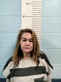 Mugshot of ELGINA LEA LUSHER booked in Lincoln County, Missouri on June 17, 2026