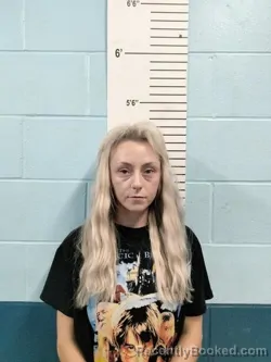 Mugshot of Emma Nicole Workman booked in Lincoln County, Missouri on September 13, 2026