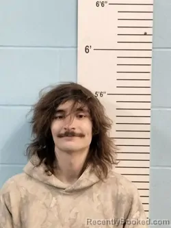 Mugshot of JOSEPH MICHEAL MEYER