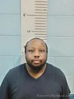 Mugshot of Jomon Nitere Perkins booked in Lincoln County, Missouri on August 12, 2026