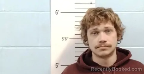 Booking photo from Lincoln County, Missouri