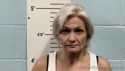 Mugshot of JILL LADONNA RUSHING booked in Lincoln County, Missouri on June 3, 2026