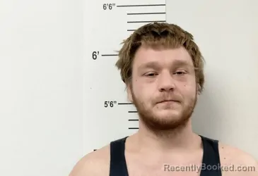 Mugshot of JAMES A REITHEMEYER