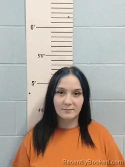Mugshot of Jaylyn Marie Williamson booked in Lincoln County, Missouri on September 9, 2026