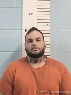 Mugshot of JESSE MICHAEL WEHMEYER booked in Lincoln County, Missouri on April 4, 2026