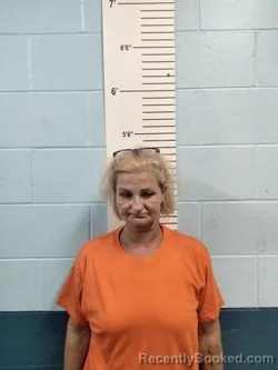 Mugshot of KIMBERLY MARIE GEIBEN booked in Lincoln County, Missouri on July 30, 2026