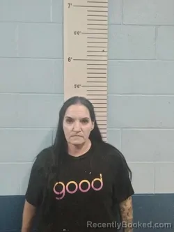Mugshot of Kelly Lorrine Mcroy booked in Lincoln County, Missouri on August 3, 2026