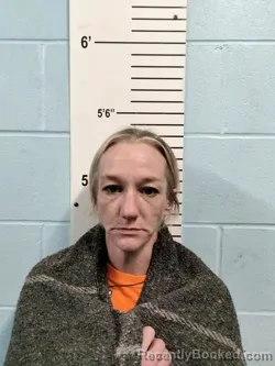 Mugshot of KELSI MARIE PRESTON booked in Lincoln County, Missouri on May 7, 2026