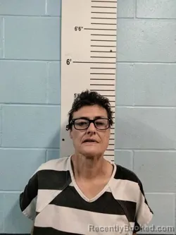 Mugshot of Mechelle Lea Boyd booked in Lincoln County, Missouri on October 7, 2026