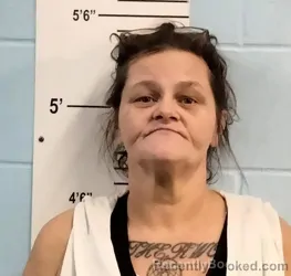 Mugshot of MICHELE DAWN BASINGER