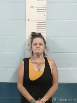 Mugshot of MICHELE DAWN BASINGER booked in Lincoln County, Missouri on May 26, 2026