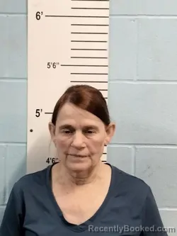 Mugshot of MICHELLE DELORES HOGARTH-DOVE booked in Lincoln County, Missouri on April 20, 2026