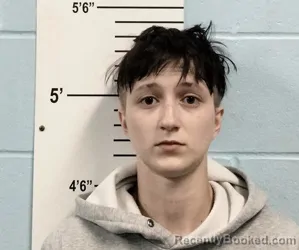 Mugshot of MADISON L OSTRANDER booked in Lincoln County, Missouri on June 6, 2026