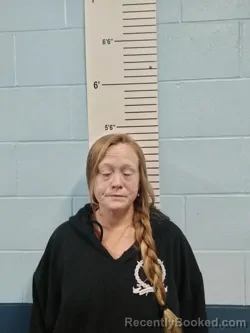 Mugshot of MELISSA DAWN POWELL booked in Lincoln County, Missouri on June 28, 2026
