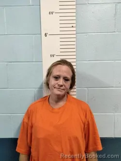 Mugshot of MELISSA DAWN POWELL booked in Lincoln County, Missouri on July 13, 2026