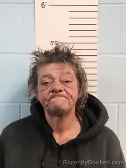 Mugshot of NIKKI NA INGRANDE