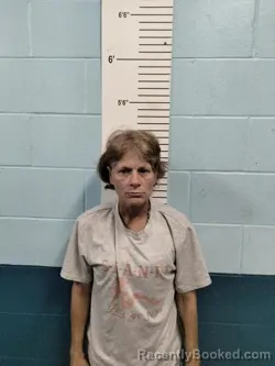 Mugshot of Ranae Michelle Brown booked in Lincoln County, Missouri on September 27, 2026