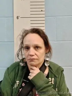 Mugshot of SARAH CHRISTINE GOODMAN