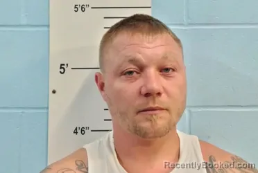 Mugshot of SEAN LOUIS GWIN