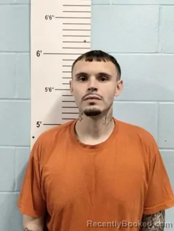 Mugshot of SALVADOR AUGSTINE GONZALEZ booked in Lincoln County, Missouri on July 15, 2026