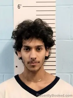 Mugshot of SIMON ALEANDER KESSERLING